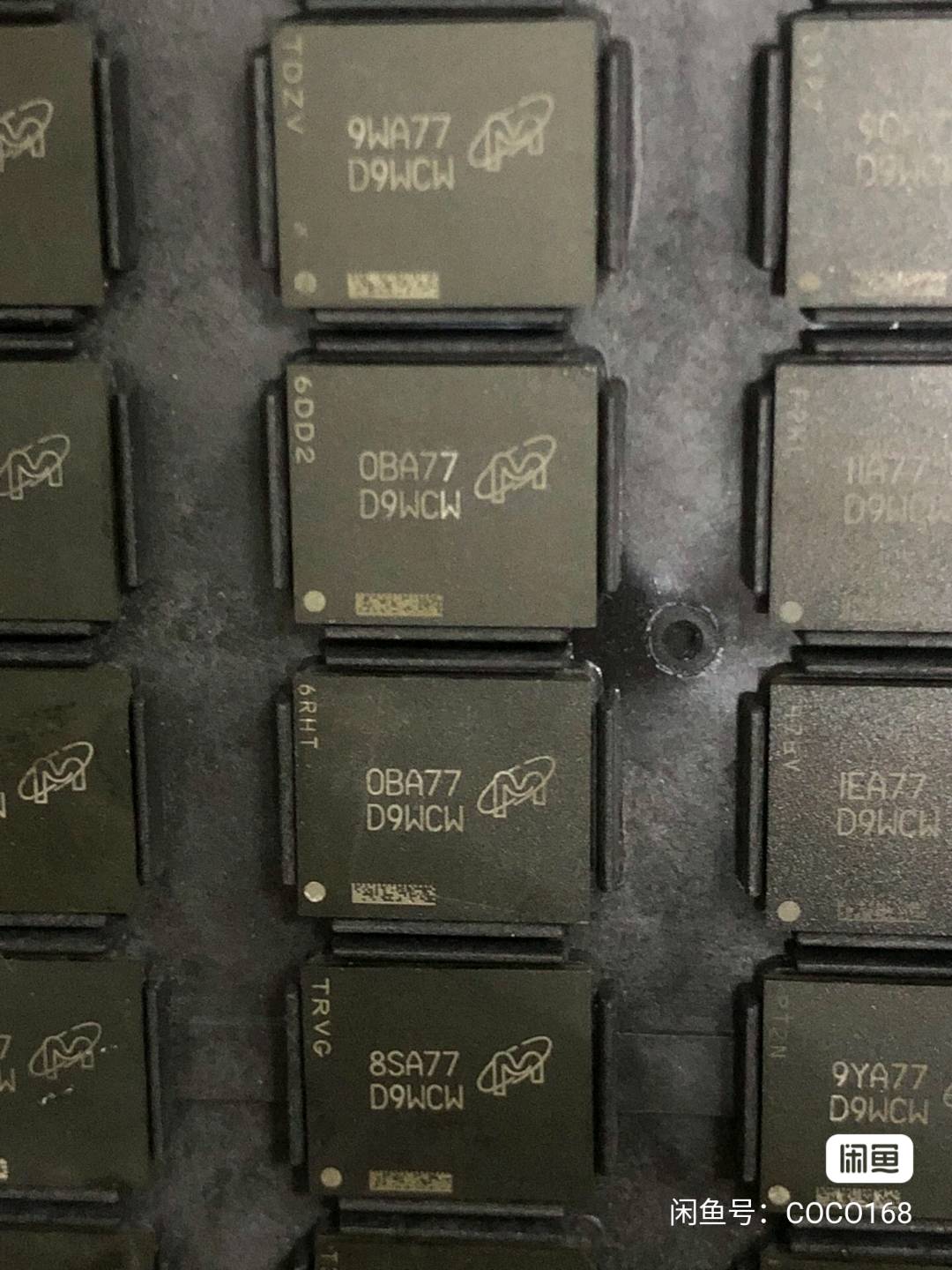 ddr6 D9WCW